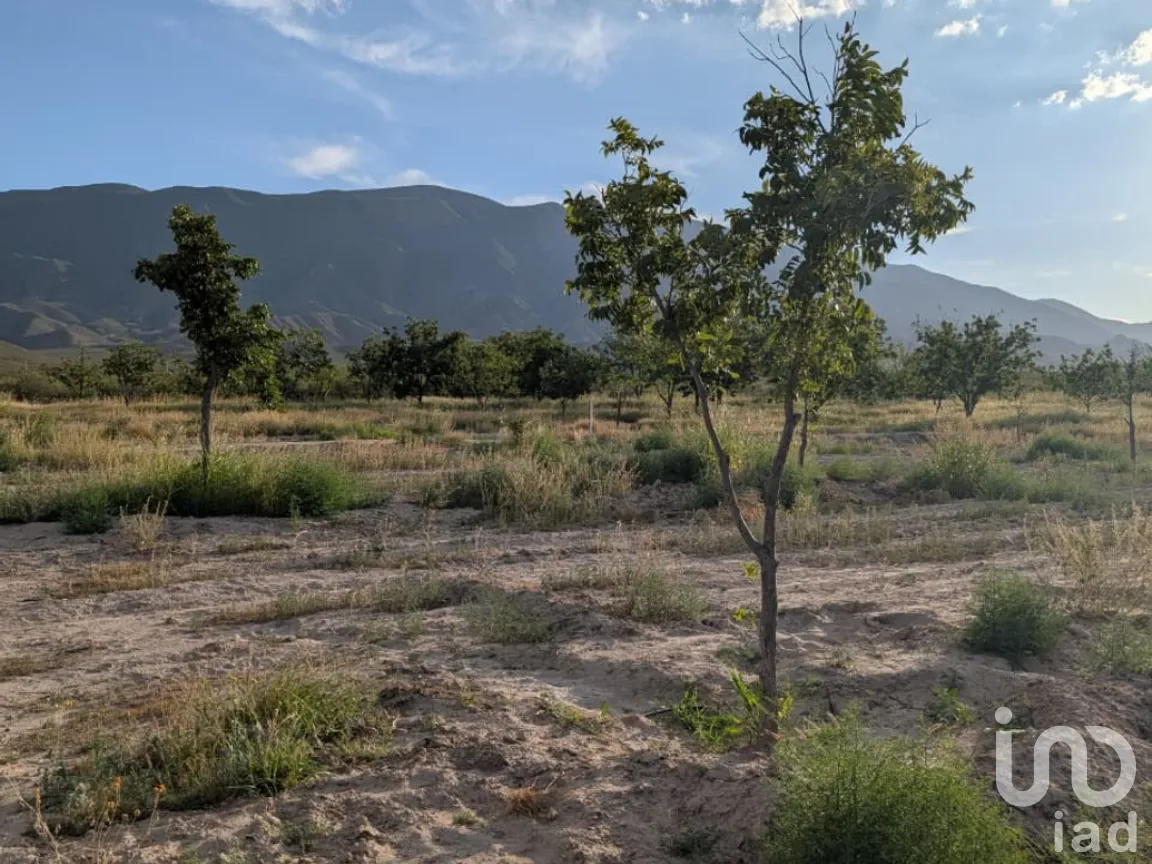 Rancho en Venta en San Isidro, Parras, Coahuila de Zaragoza | NEX-263452 | iad México | Foto 10 de 18