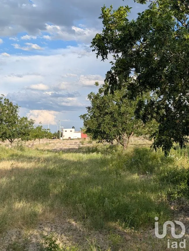 Rancho en Venta en San Isidro, Parras, Coahuila de Zaragoza | NEX-263452 | iad México | Foto 1 de 18