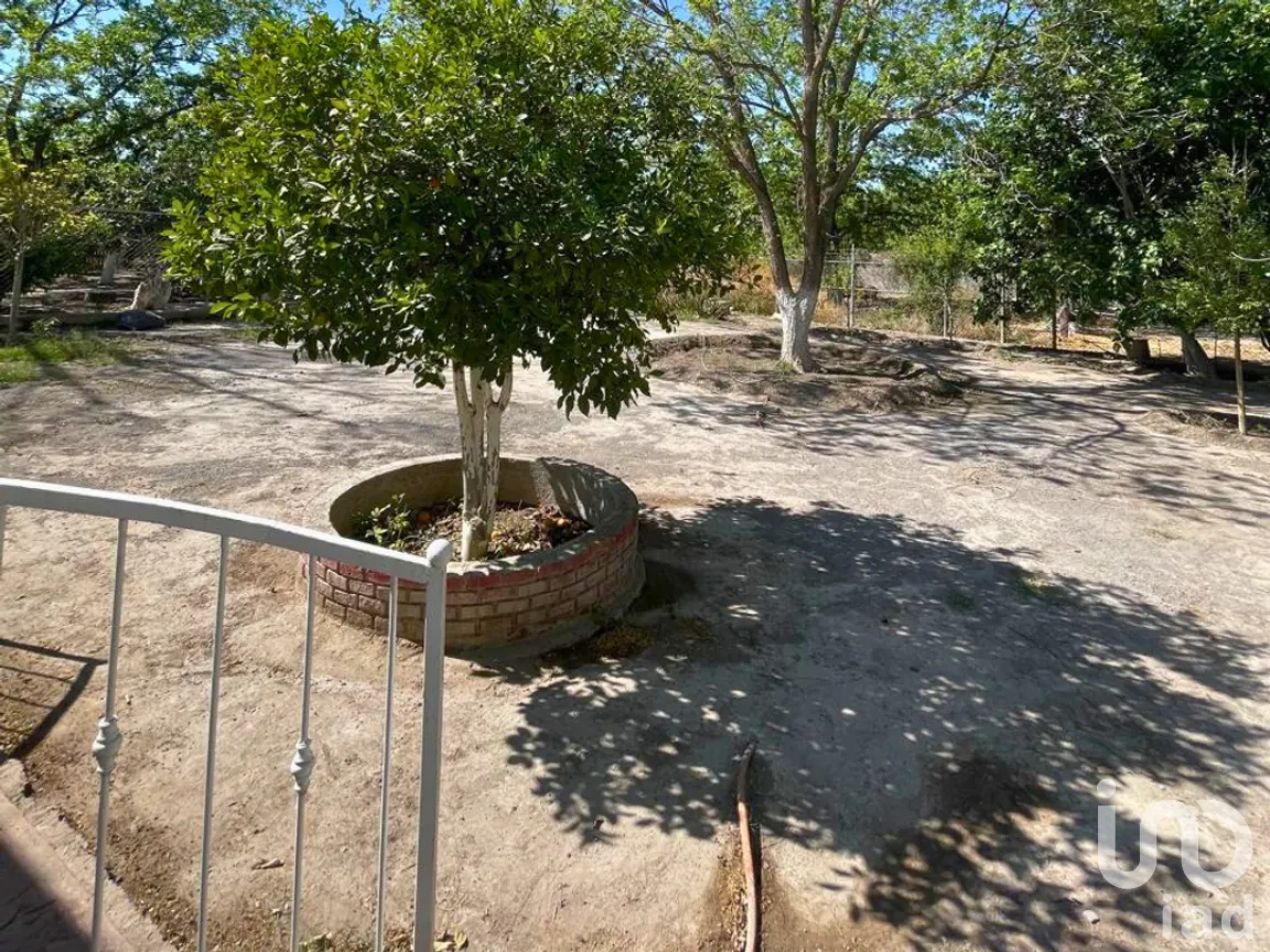 Casa en Renta en Barrio del Perico, Parras, Coahuila de Zaragoza | NEX-265151 | iad México | Foto 14 de 14