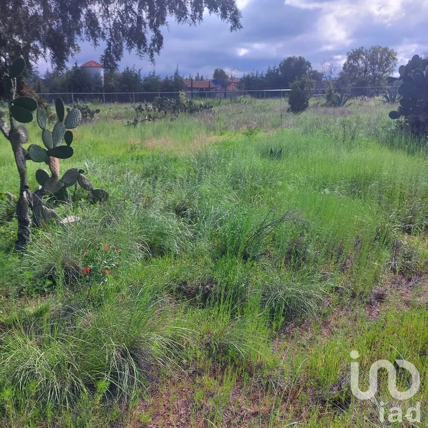 Terreno en Venta en Río Seco Puente de Doria, Huasca de Ocampo, Hidalgo | NEX-287580 | iad México | Foto 6 de 8
