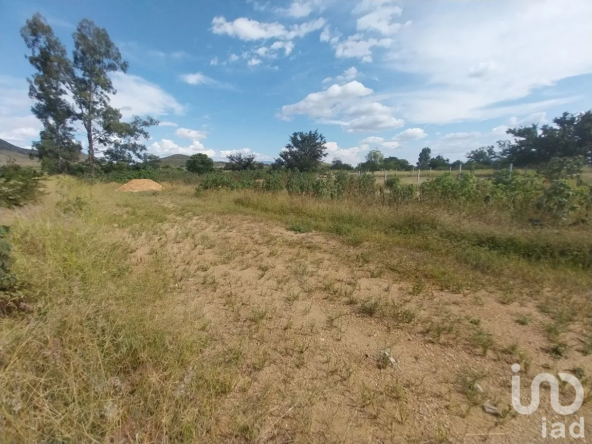 Terreno en Venta en Zimatlán de Álvarez Centro, Zimatlán de Álvarez, Oaxaca | NEX-256529 | iad México | Foto 2 de 5