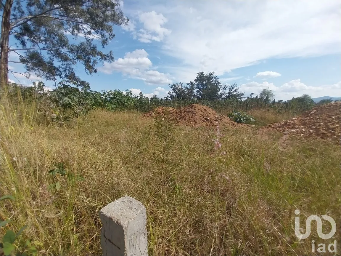 Terreno en Venta en Zimatlán de Álvarez Centro, Zimatlán de Álvarez, Oaxaca | NEX-256529 | iad México | Foto 3 de 5