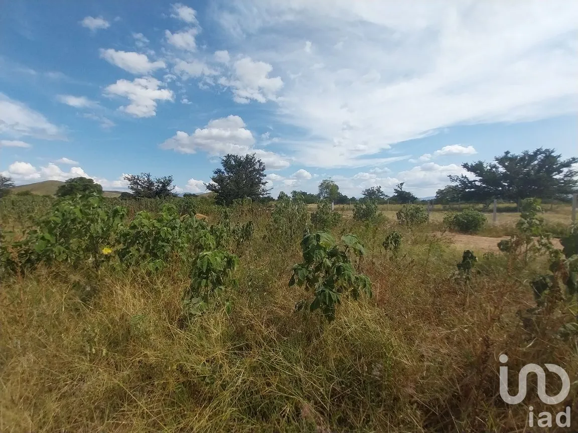Terreno en Venta en Zimatlán de Álvarez Centro, Zimatlán de Álvarez, Oaxaca | NEX-256529 | iad México | Foto 4 de 5