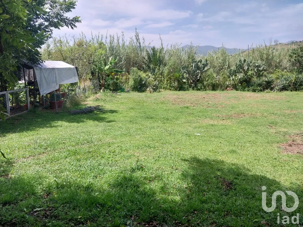 Terreno en Venta en San Francisco Telixtlahuaca Centro, San Francisco Telixtlahuaca, Oaxaca | NEX-258442 | iad México | Foto 2 de 8
