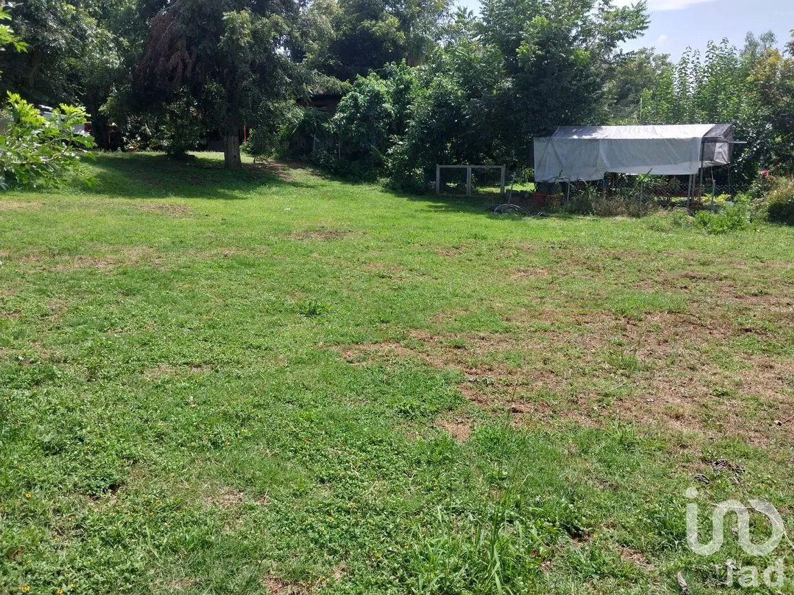 Terreno en Venta en San Francisco Telixtlahuaca Centro, San Francisco Telixtlahuaca, Oaxaca | NEX-258442 | iad México | Foto 4 de 8