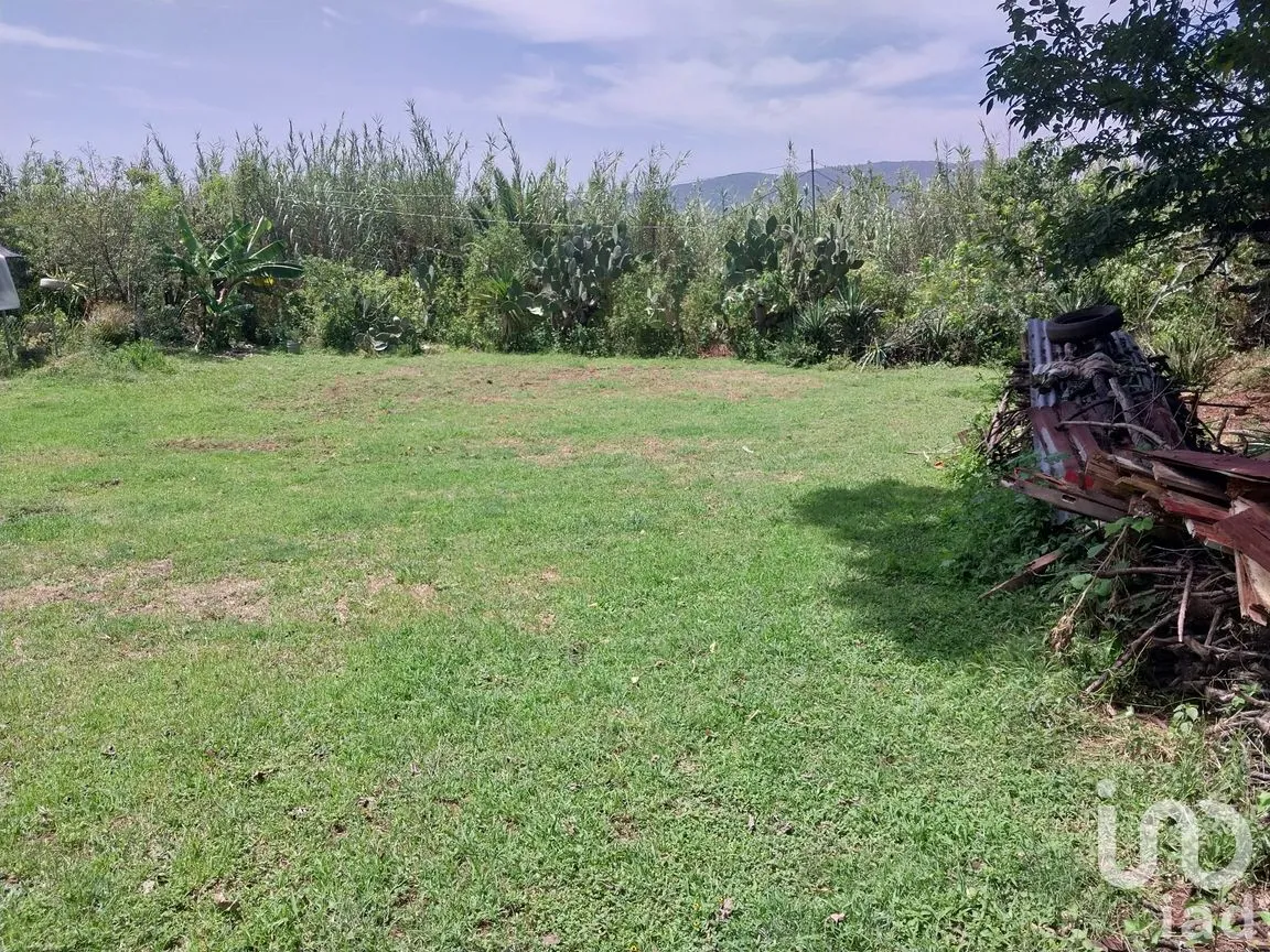Terreno en Venta en San Francisco Telixtlahuaca Centro, San Francisco Telixtlahuaca, Oaxaca | NEX-258442 | iad México | Foto 5 de 8