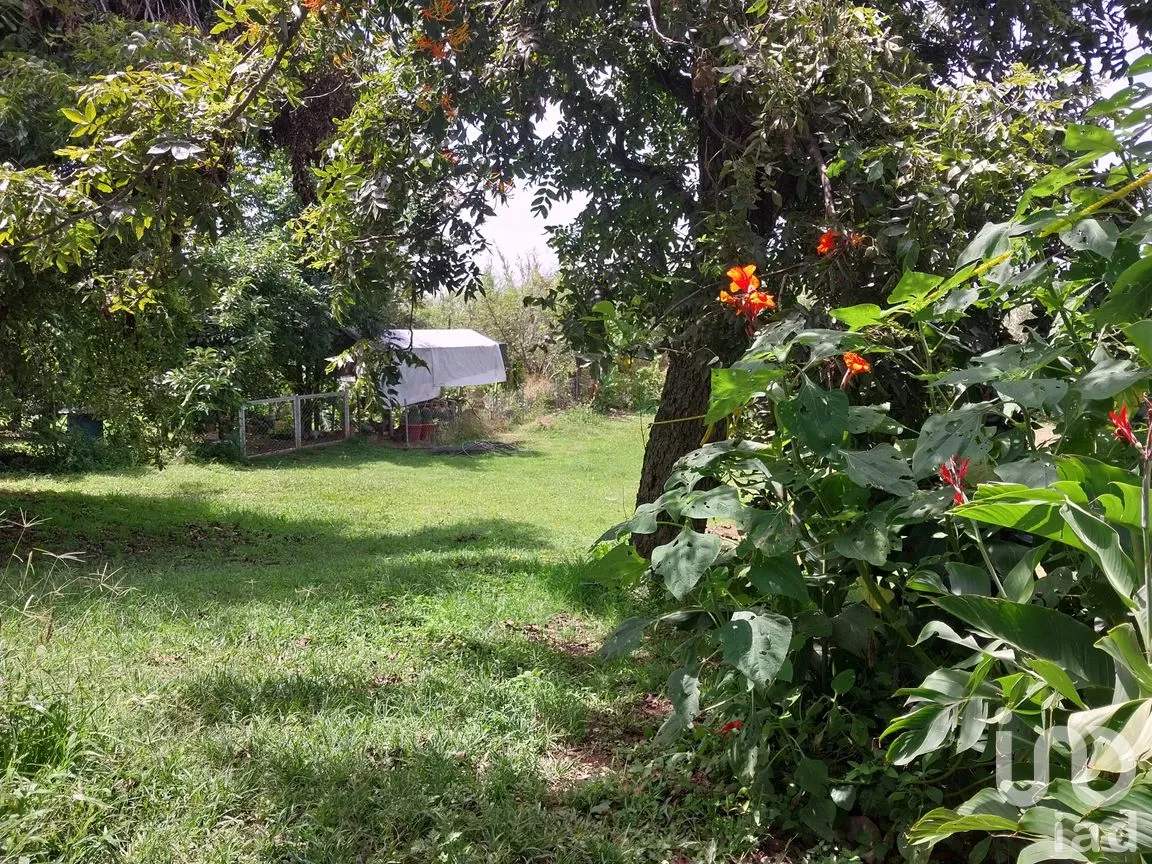 Terreno en Venta en San Francisco Telixtlahuaca Centro, San Francisco Telixtlahuaca, Oaxaca | NEX-258442 | iad México | Foto 6 de 8