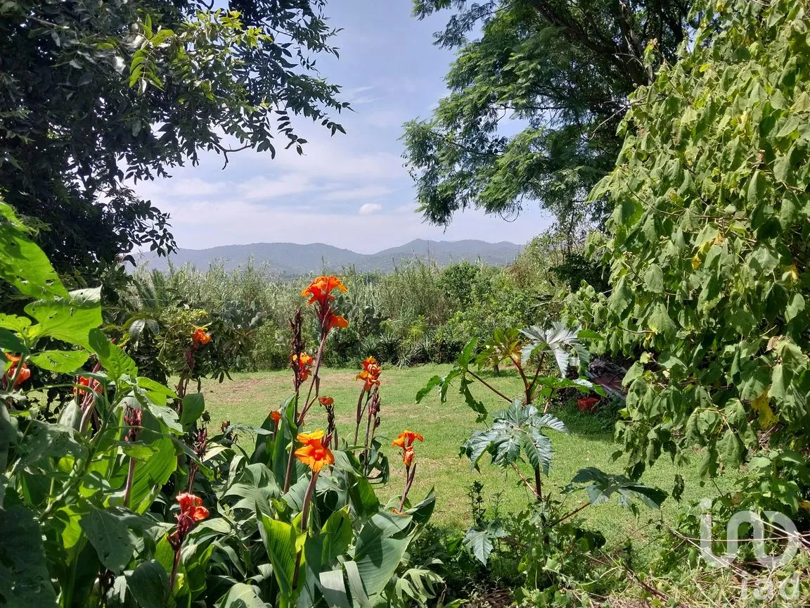 Terreno en Venta en San Francisco Telixtlahuaca Centro, San Francisco Telixtlahuaca, Oaxaca | NEX-258442 | iad México | Foto 7 de 8