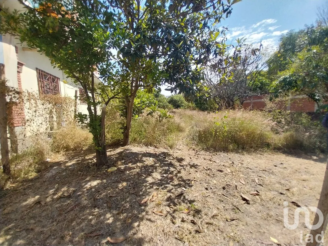 Terreno en Venta en Heroica Ciudad de Ejutla de Crespo Centro, Heroica Ciudad de Ejutla de Crespo, Oaxaca | NEX-263055 | iad México | Foto 2 de 6