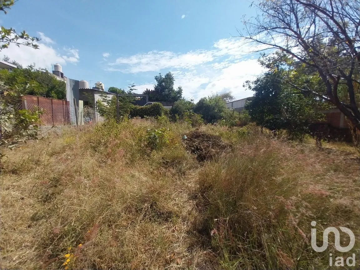 Terreno en Venta en Heroica Ciudad de Ejutla de Crespo Centro, Heroica Ciudad de Ejutla de Crespo, Oaxaca | NEX-263055 | iad México | Foto 3 de 6