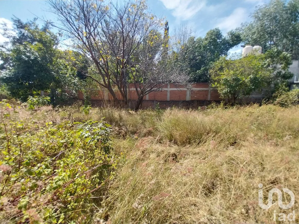 Terreno en Venta en Heroica Ciudad de Ejutla de Crespo Centro, Heroica Ciudad de Ejutla de Crespo, Oaxaca | NEX-263055 | iad México | Foto 4 de 6
