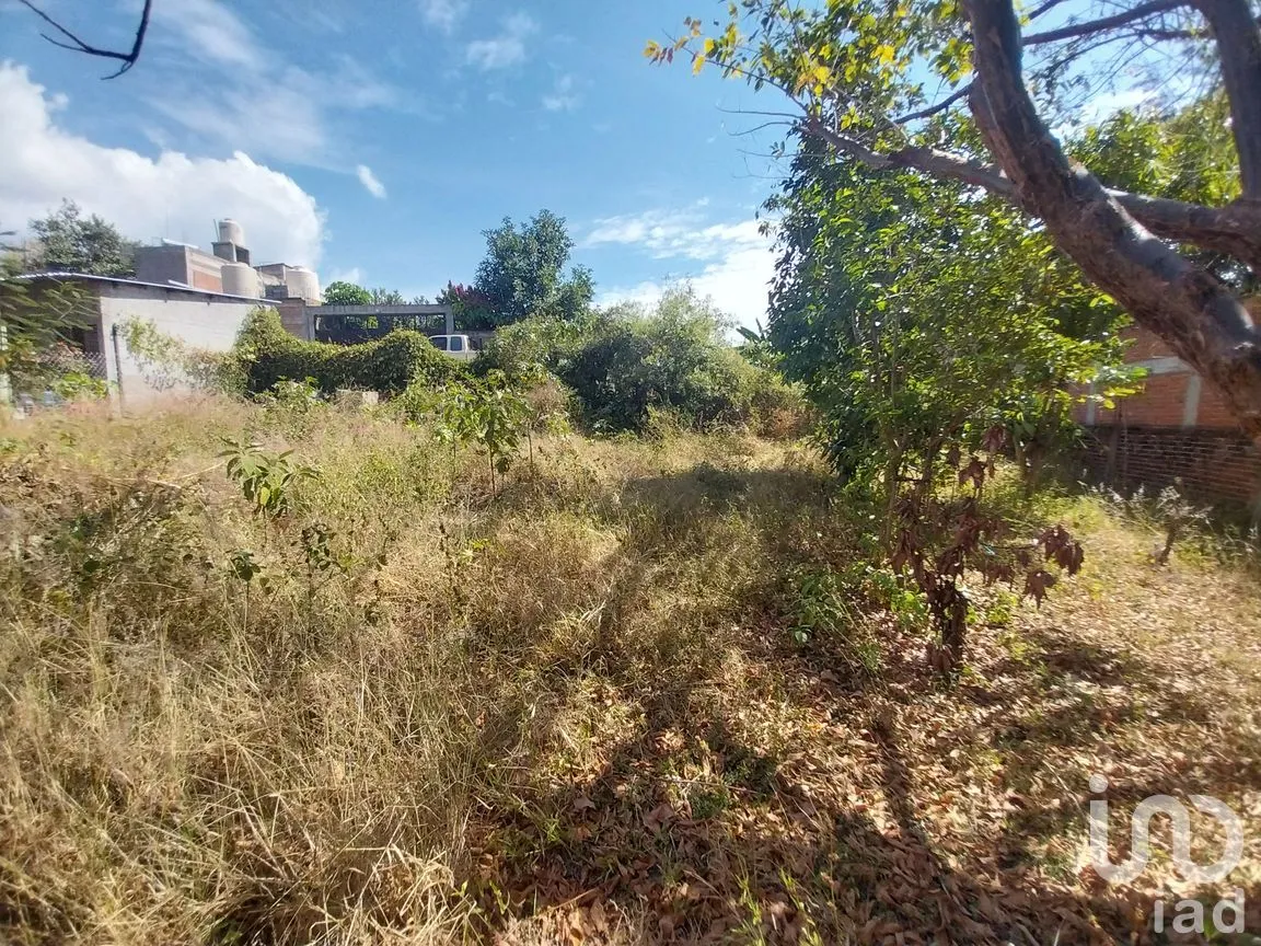 Terreno en Venta en Heroica Ciudad de Ejutla de Crespo Centro, Heroica Ciudad de Ejutla de Crespo, Oaxaca | NEX-263055 | iad México | Foto 5 de 6