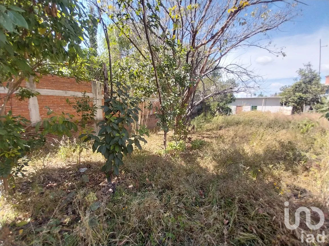 Terreno en Venta en Heroica Ciudad de Ejutla de Crespo Centro, Heroica Ciudad de Ejutla de Crespo, Oaxaca | NEX-263055 | iad México | Foto 6 de 6