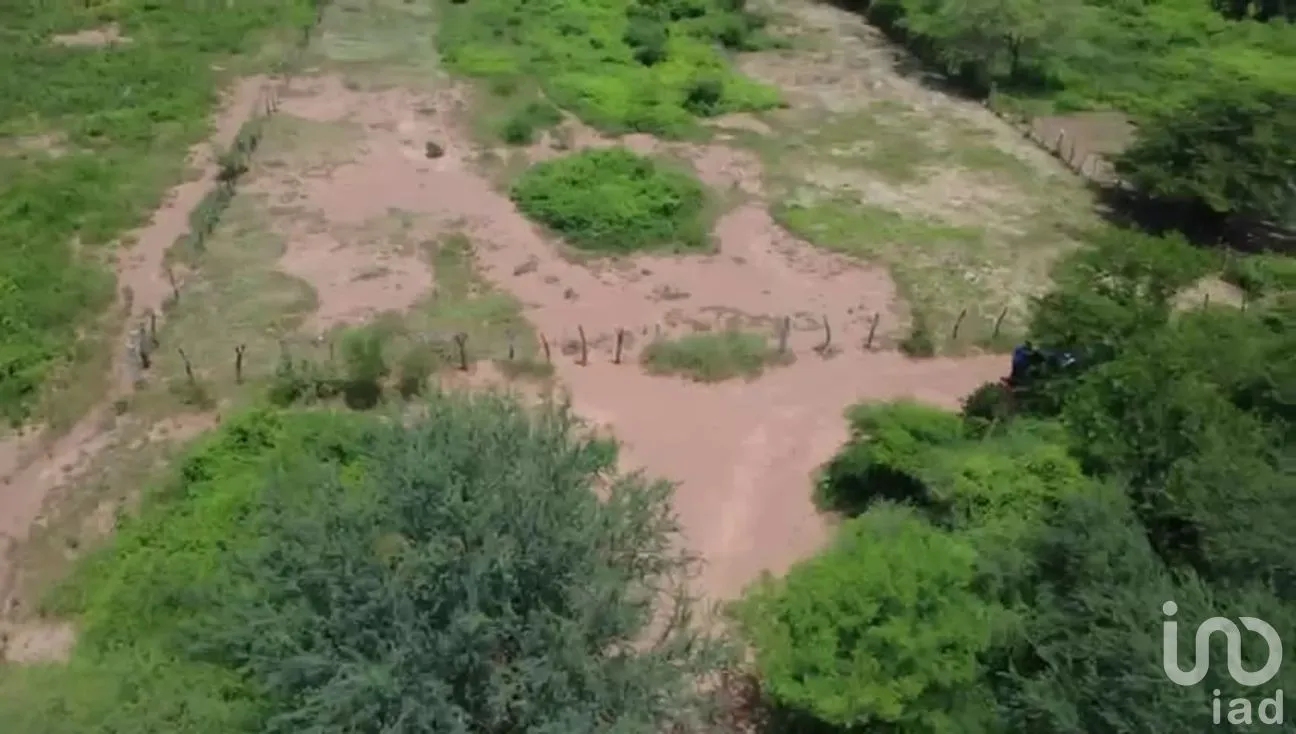Terreno en Venta en Guiengola, Santo Domingo Tehuantepec, Oaxaca | NEX-286792 | iad México | Foto 3 de 11