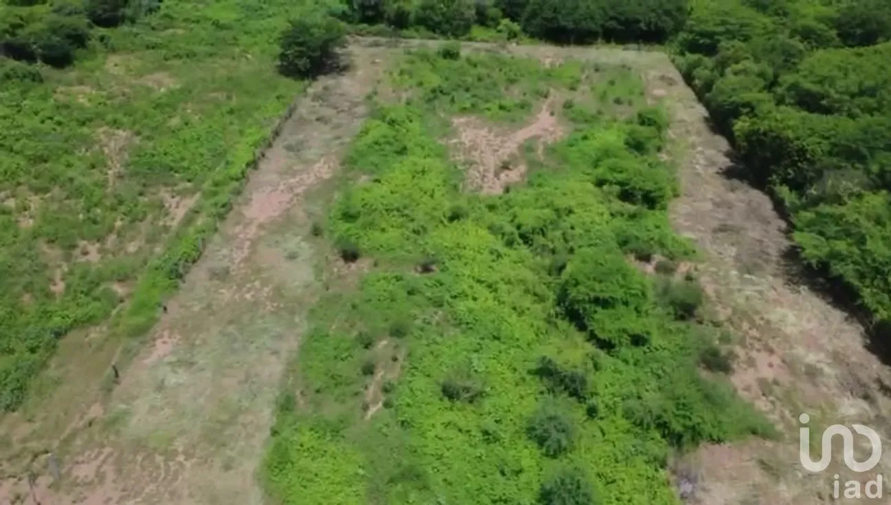 Terreno en Venta en Guiengola, Santo Domingo Tehuantepec, Oaxaca | NEX-286792 | iad México | Foto 4 de 11