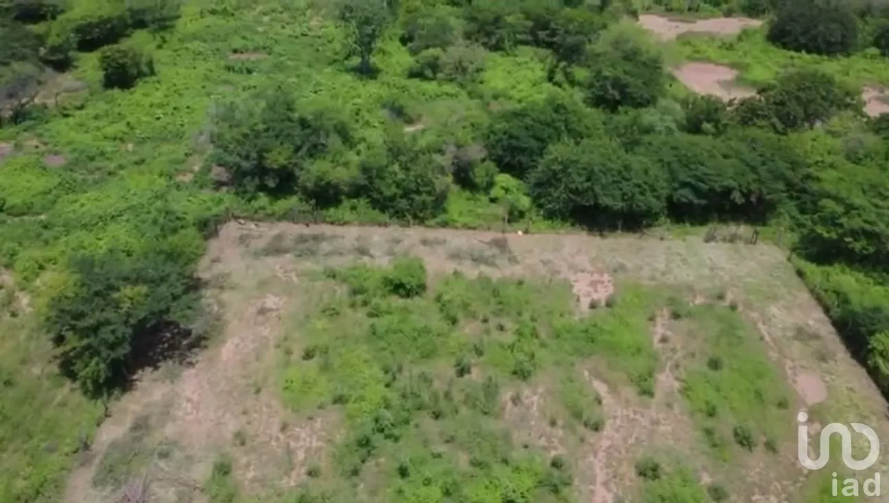 Terreno en Venta en Guiengola, Santo Domingo Tehuantepec, Oaxaca | NEX-286792 | iad México | Foto 5 de 11