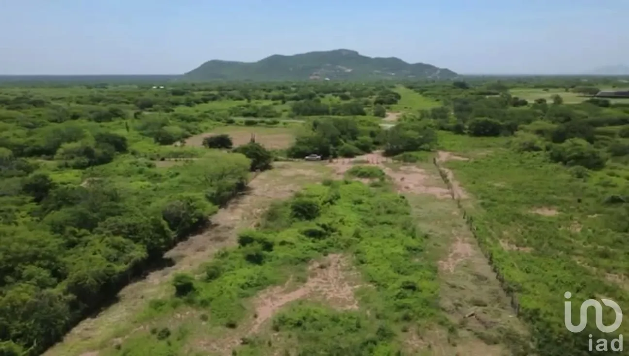 Terreno en Venta en Guiengola, Santo Domingo Tehuantepec, Oaxaca | NEX-286792 | iad México | Foto 6 de 11