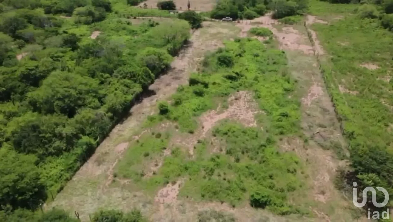 Terreno en Venta en Guiengola, Santo Domingo Tehuantepec, Oaxaca | NEX-286792 | iad México | Foto 7 de 11