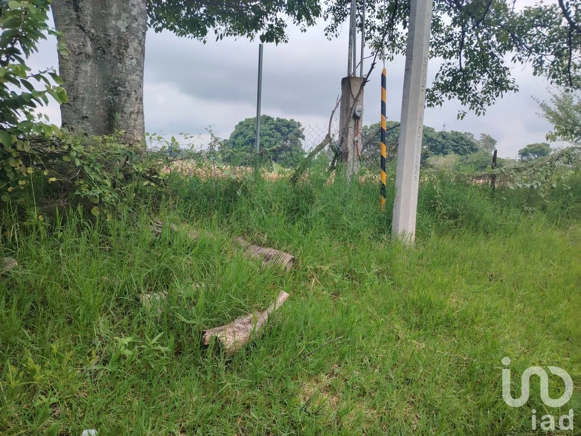 Terreno en Venta en Ocuituco, Ocuituco, Morelos | NEX-260928 | iad México | Foto 12 de 18