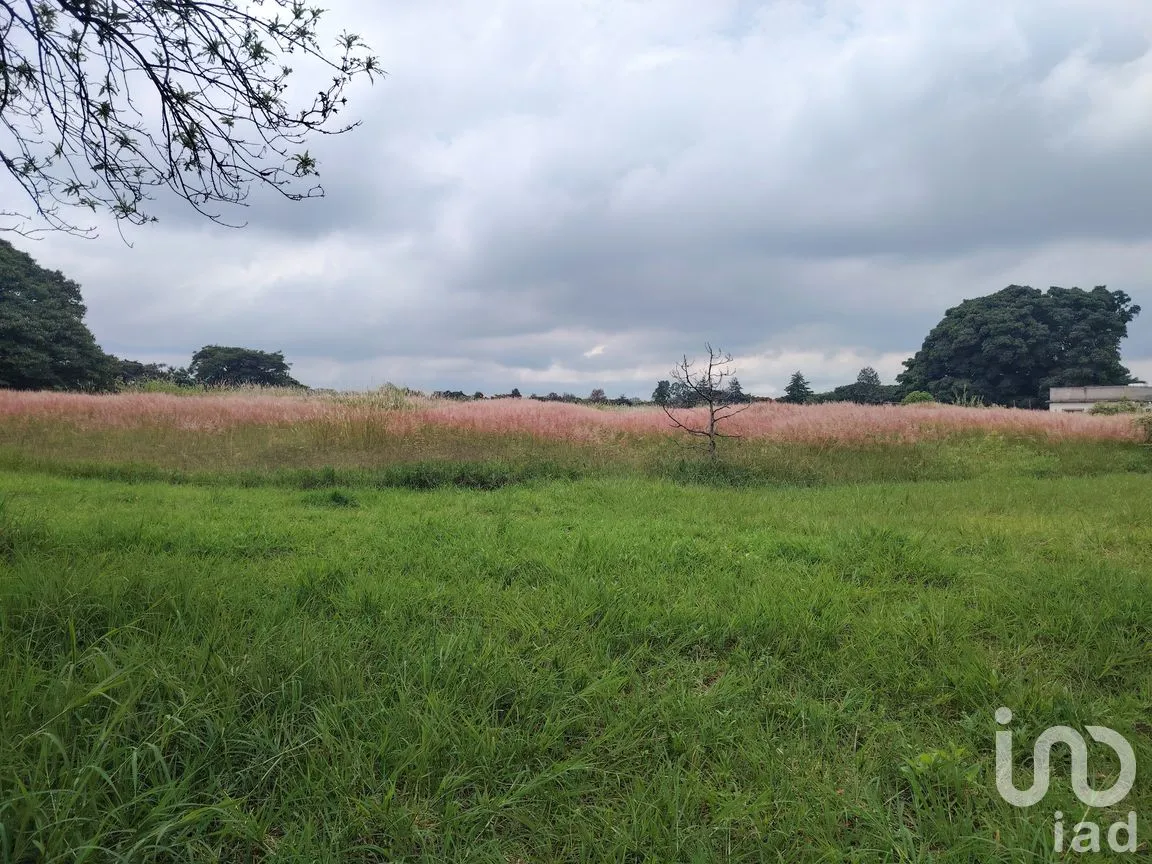 Terreno en Venta en Ocuituco, Ocuituco, Morelos | NEX-260928 | iad México | Foto 14 de 18