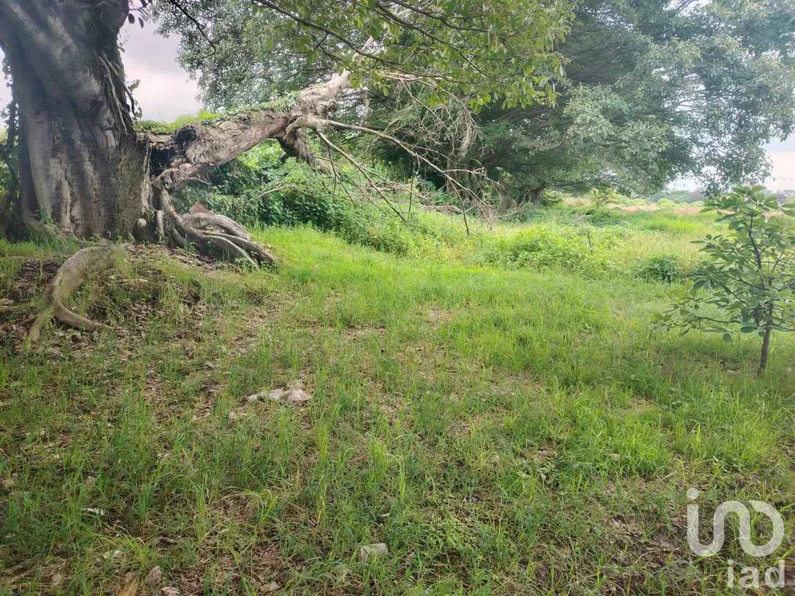 Terreno en Venta en Ocuituco, Ocuituco, Morelos | NEX-260928 | iad México | Foto 16 de 18