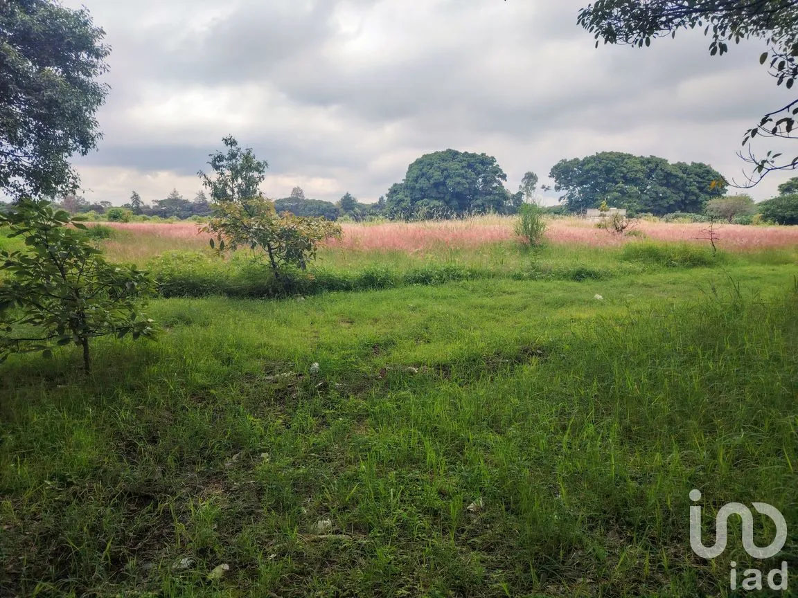Terreno en Venta en Ocuituco, Ocuituco, Morelos | NEX-260928 | iad México | Foto 17 de 18