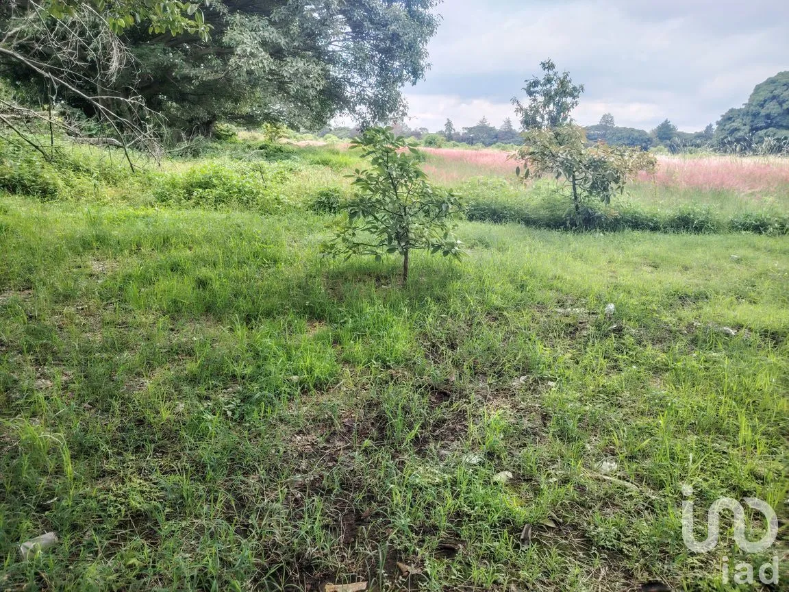 Terreno en Venta en Ocuituco, Ocuituco, Morelos | NEX-260928 | iad México | Foto 18 de 18