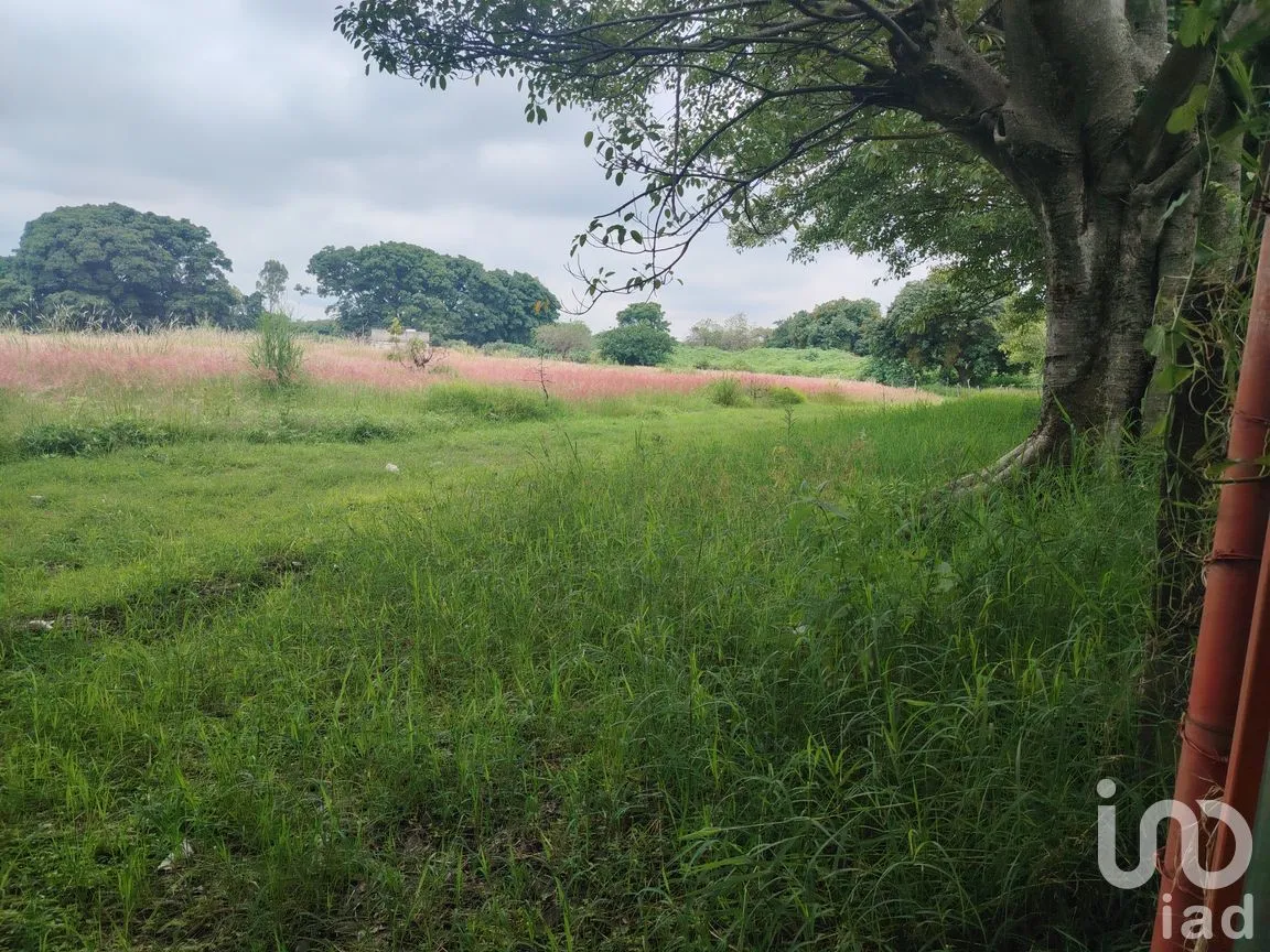 Terreno en Venta en Ocuituco, Ocuituco, Morelos | NEX-260928 | iad México | Foto 4 de 18