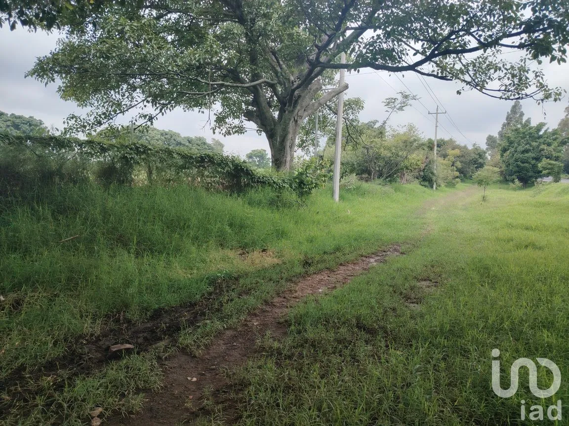 Terreno en Venta en Ocuituco, Ocuituco, Morelos | NEX-260928 | iad México | Foto 5 de 18