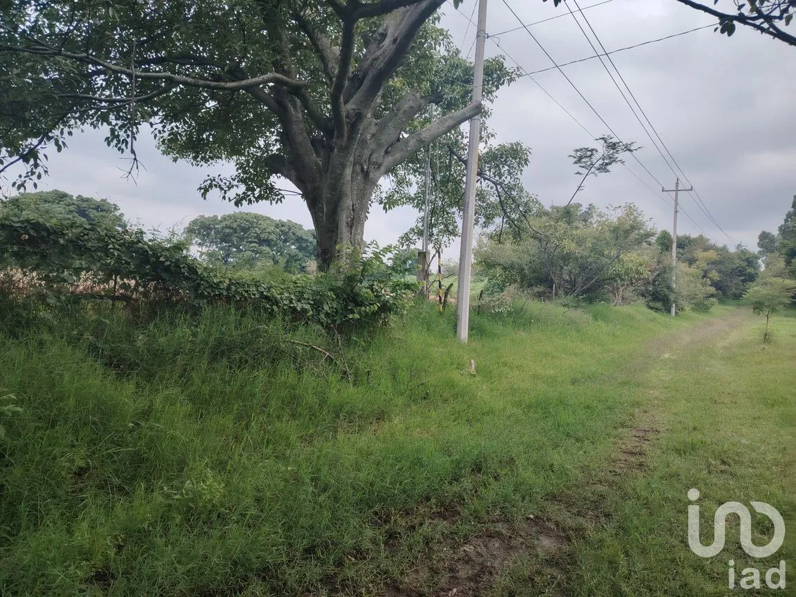 Terreno en Venta en Ocuituco, Ocuituco, Morelos | NEX-260928 | iad México | Foto 6 de 18