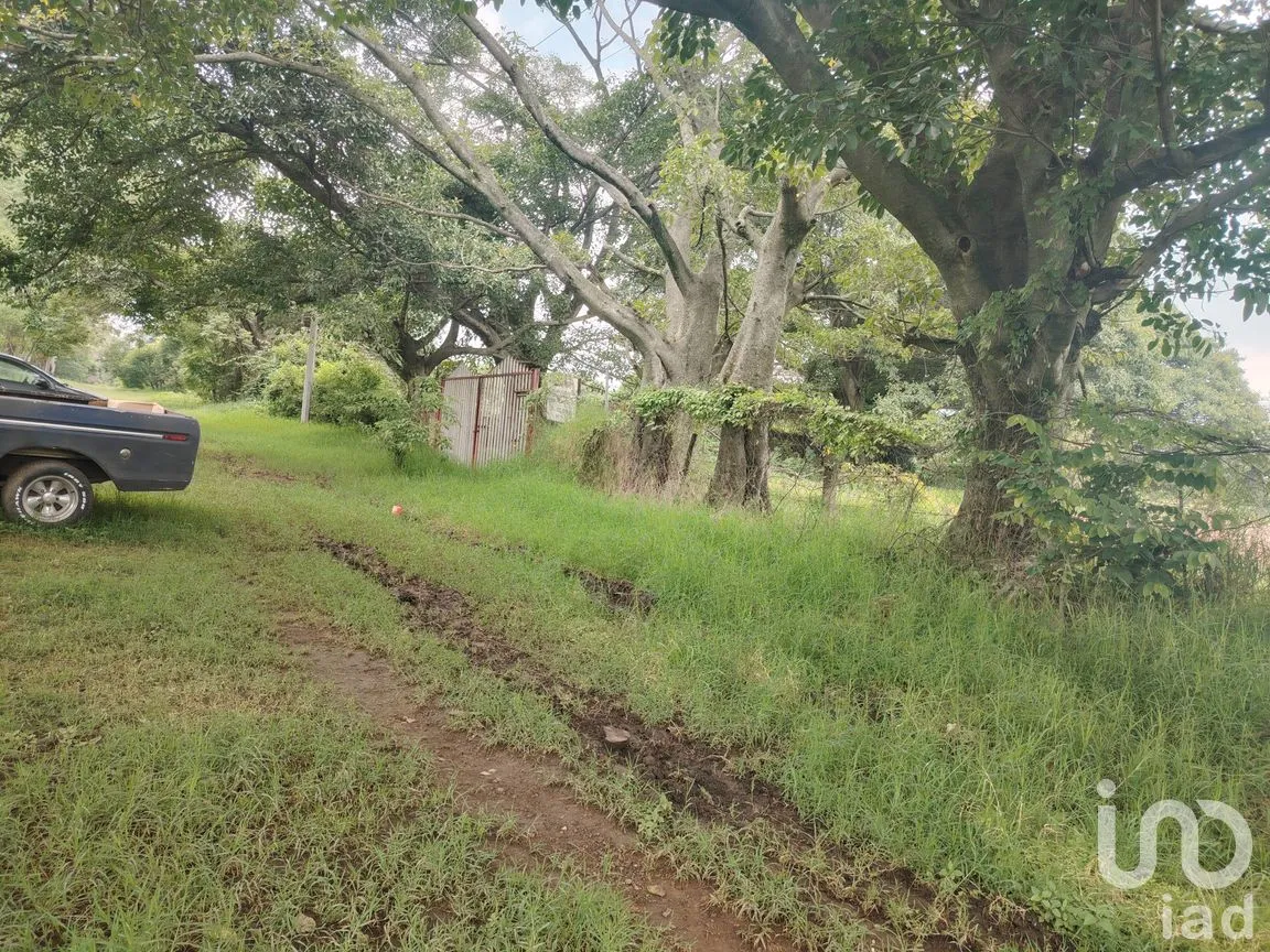 Terreno en Venta en Ocuituco, Ocuituco, Morelos | NEX-260928 | iad México | Foto 7 de 18