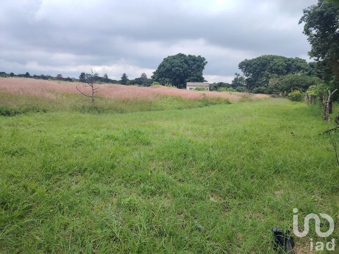 Terreno en Venta en Ocuituco, Ocuituco, Morelos | NEX-260928 | iad México | Foto 8 de 18