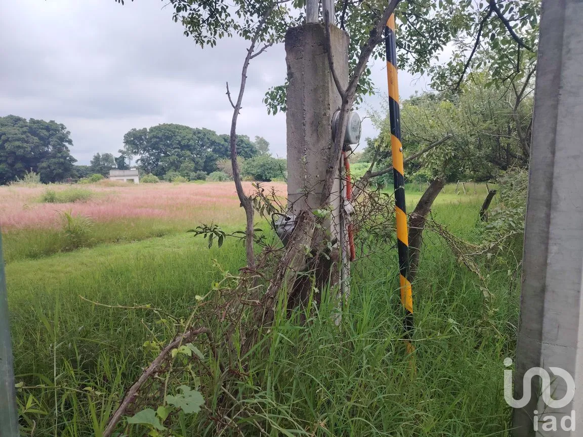 Terreno en Venta en Ocuituco, Ocuituco, Morelos | NEX-260928 | iad México | Foto 9 de 18