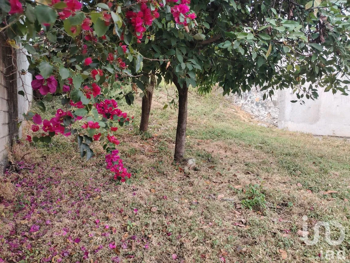Terreno en Venta en Lázaro Cárdenas (El Empalme), Yautepec, Morelos | NEX-265064 | iad México | Foto 2 de 6