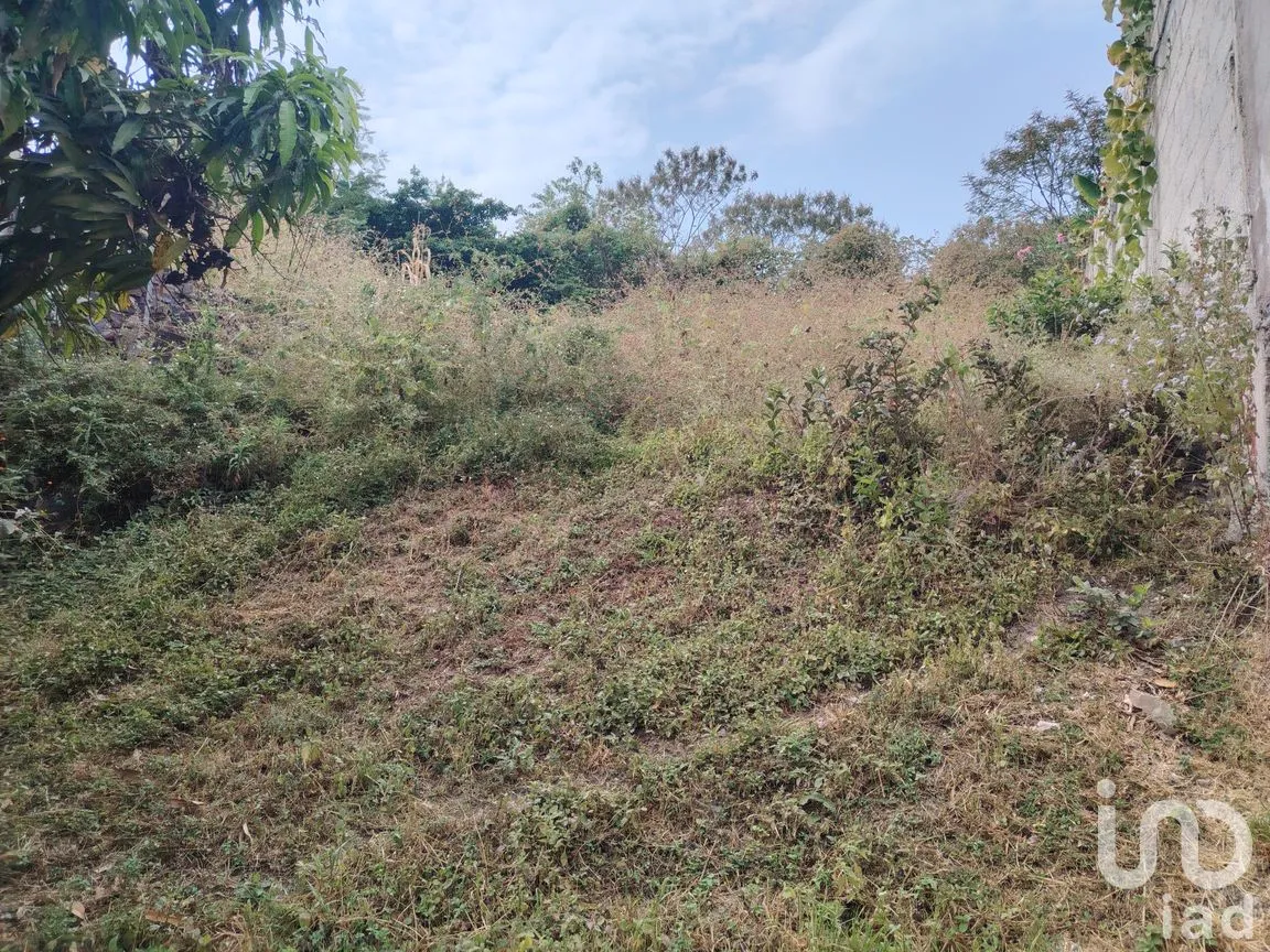 Terreno en Venta en Lázaro Cárdenas (El Empalme), Yautepec, Morelos | NEX-265064 | iad México | Foto 3 de 6
