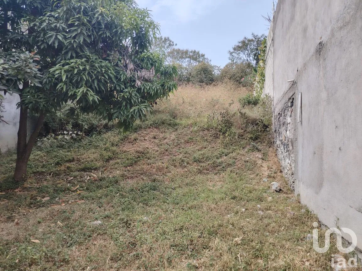 Terreno en Venta en Lázaro Cárdenas (El Empalme), Yautepec, Morelos | NEX-265064 | iad México | Foto 1 de 6