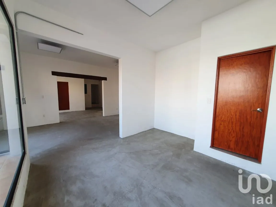 Oficina en Renta en Roma Norte, Cuauhtémoc, Ciudad de México | NEX-252922 | iad México | Foto 4 de 9