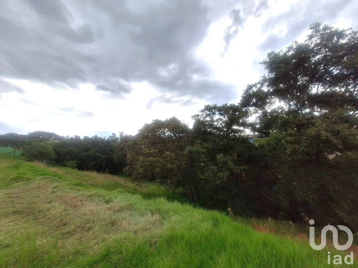 Terreno en Venta en Morelos, Nicolás Romero, México | NEX-259756 | iad México | Foto 6 de 6