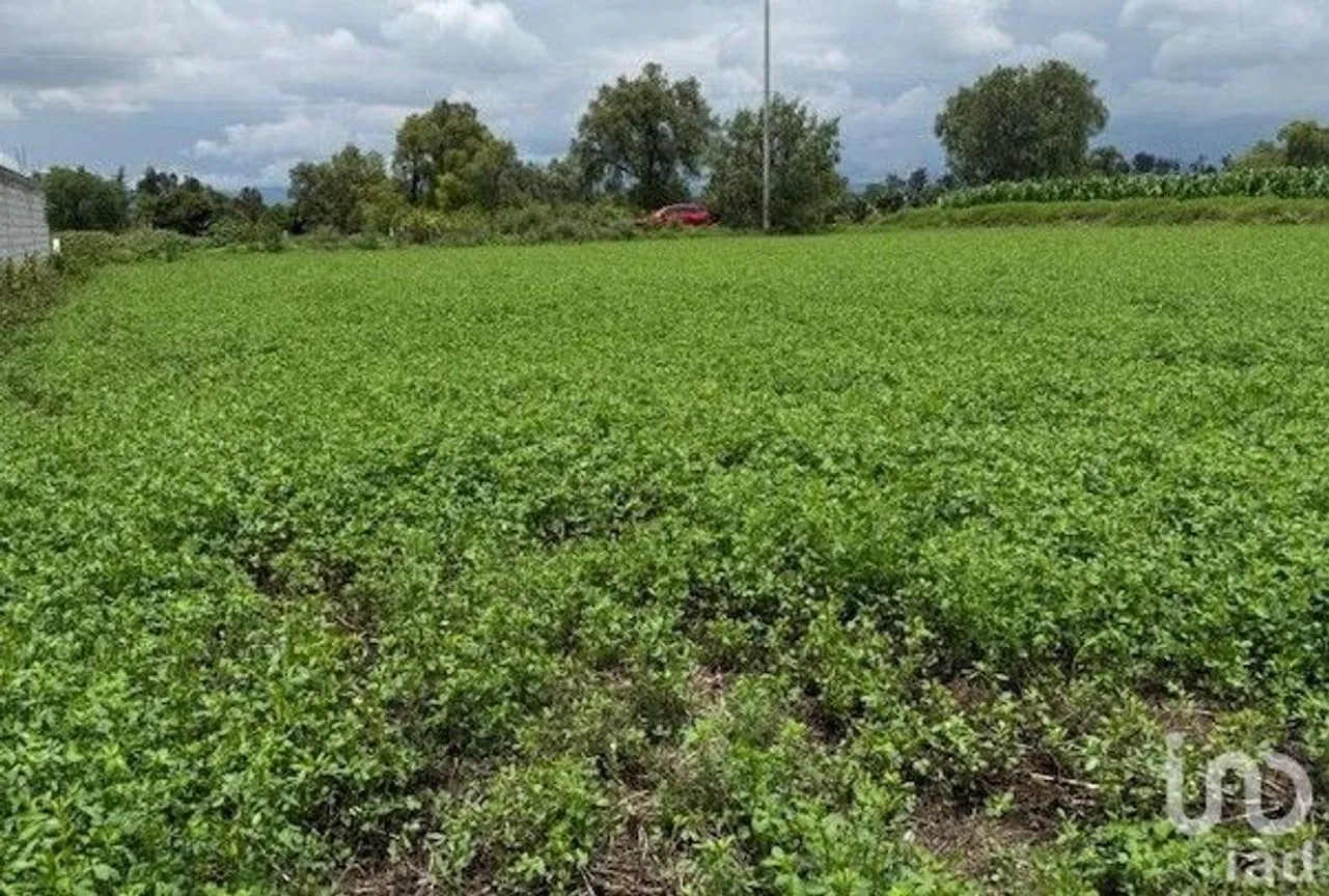 Terreno en Venta en Bocaja, San Salvador, Hidalgo | NEX-251852 | iad México | Foto 2 de 5