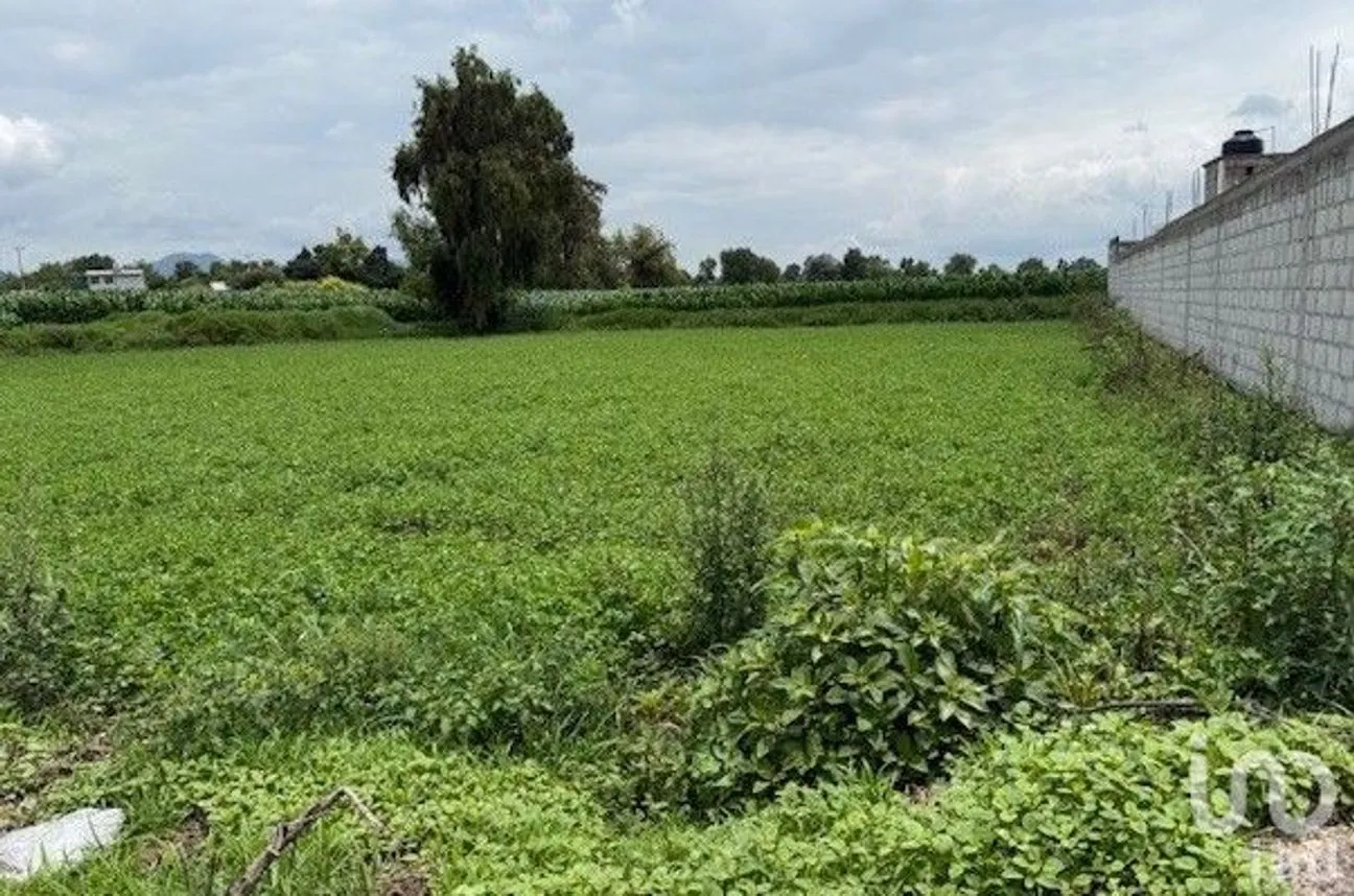 Terreno en Venta en Bocaja, San Salvador, Hidalgo | NEX-251852 | iad México | Foto 5 de 5