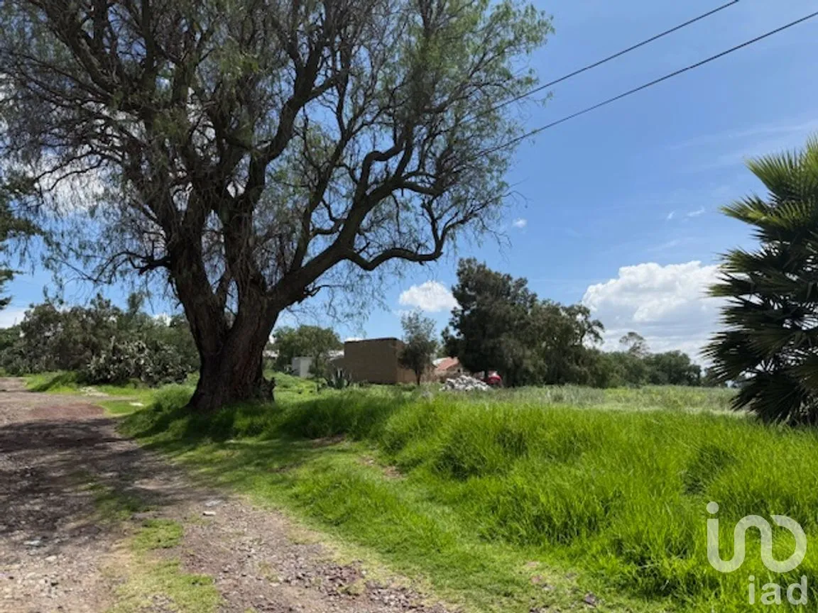 Terreno en Venta en San Juan Tizahuapan, Epazoyucan, Hidalgo | NEX-253204 | iad México | Foto 5 de 7
