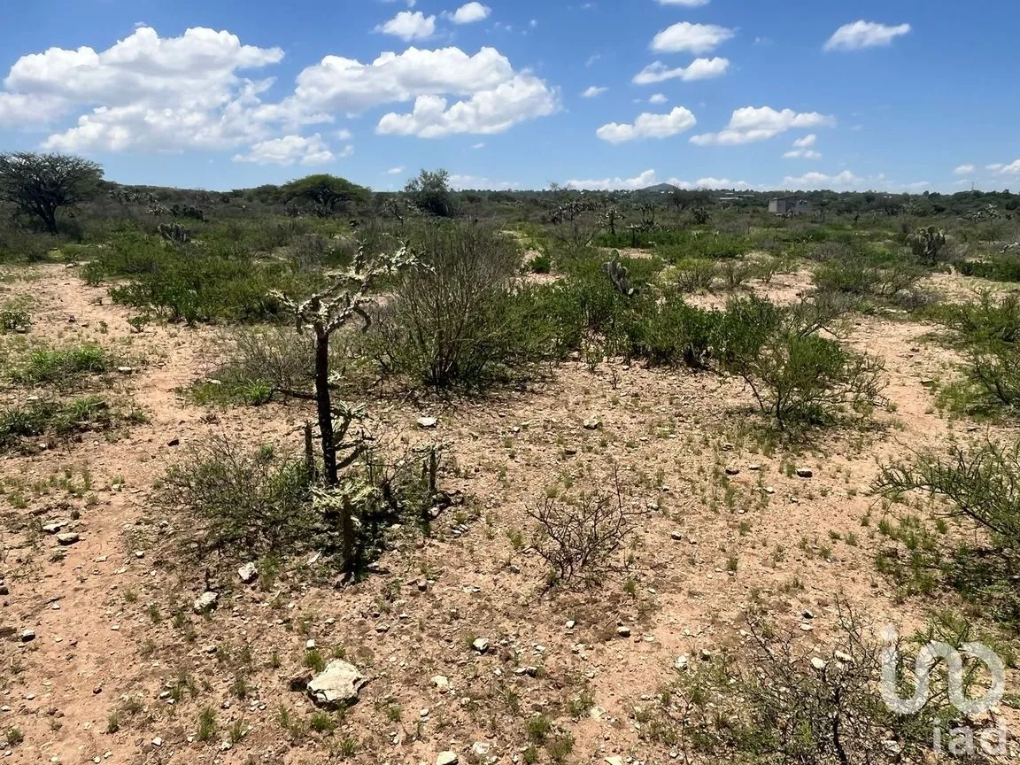 Terreno en Venta en Alfredo V. Bonfil (Los Pérez), Ezequiel Montes, Querétaro | NEX-256496 | iad México | Foto 11 de 12