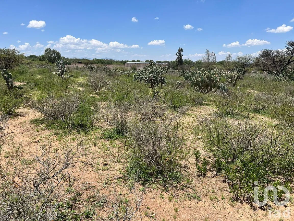 Terreno en Venta en Alfredo V. Bonfil (Los Pérez), Ezequiel Montes, Querétaro | NEX-256496 | iad México | Foto 6 de 12