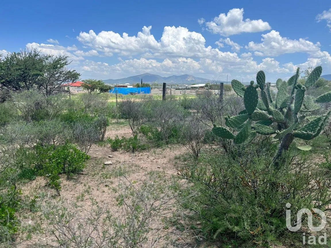 Terreno en Venta en Alfredo V. Bonfil (Los Pérez), Ezequiel Montes, Querétaro | NEX-256496 | iad México | Foto 8 de 12