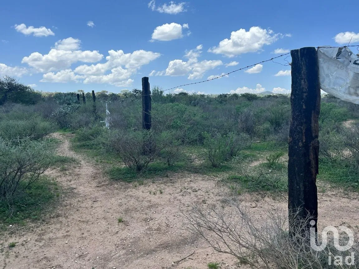 Terreno en Venta en Alfredo V. Bonfil (Los Pérez), Ezequiel Montes, Querétaro | NEX-256496 | iad México | Foto 10 de 12