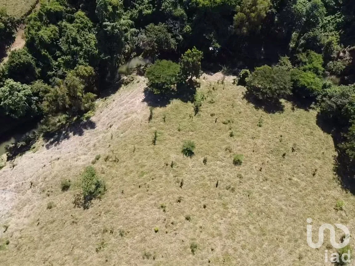 Terreno en Venta en Paso de las Flores, Castillo de Teayo, Veracruz de Ignacio de la Llave | NEX-263083 | iad México | Foto 4 de 6