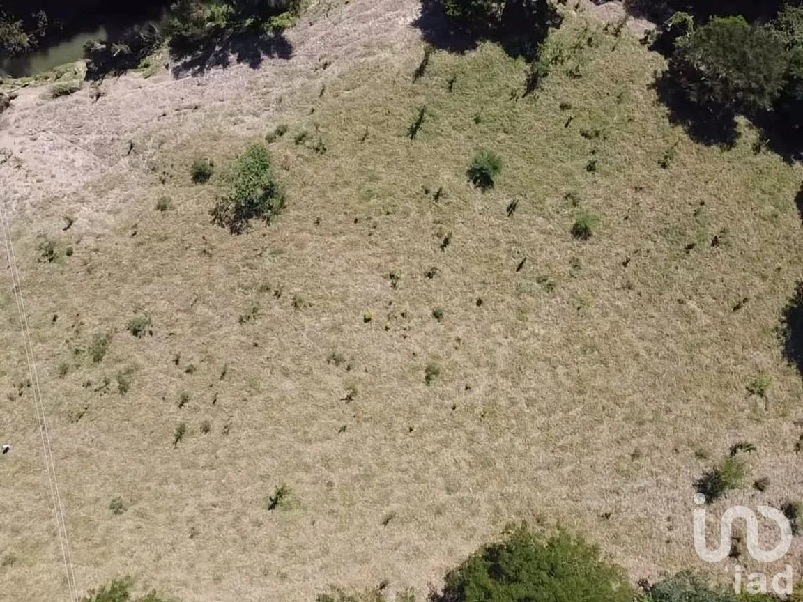 Terreno en Venta en Paso de las Flores, Castillo de Teayo, Veracruz de Ignacio de la Llave | NEX-263083 | iad México | Foto 6 de 6