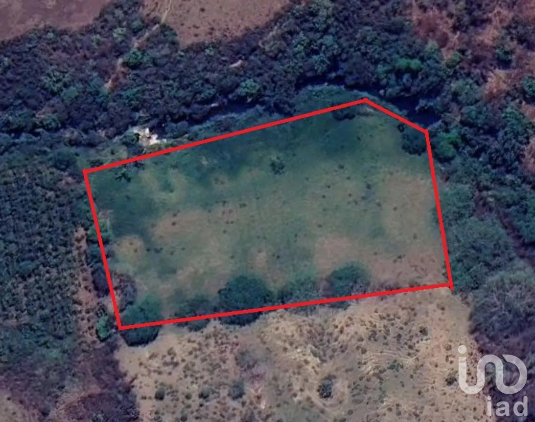 Terreno en Venta en Paso de las Flores, Castillo de Teayo, Veracruz de Ignacio de la Llave | NEX-263083 | iad México | Foto 1 de 6