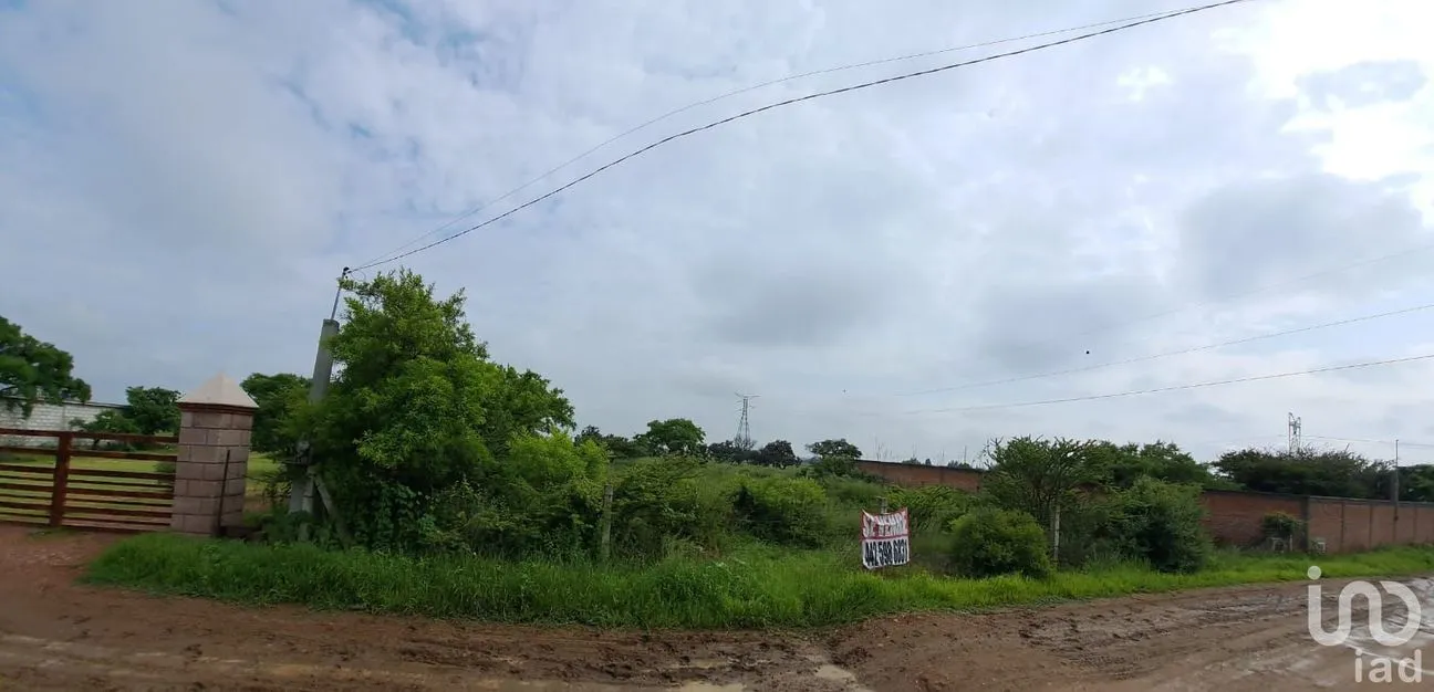 Terreno en Venta en La Cinta, San José Iturbide, Guanajuato | NEX-253790 | iad México | Foto 3 de 3