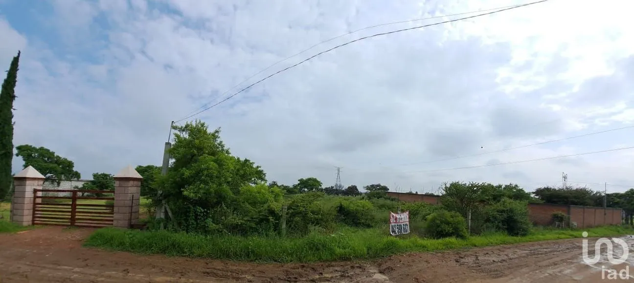 Terreno en Venta en La Cinta, San José Iturbide, Guanajuato | NEX-253790 | iad México | Foto 1 de 3